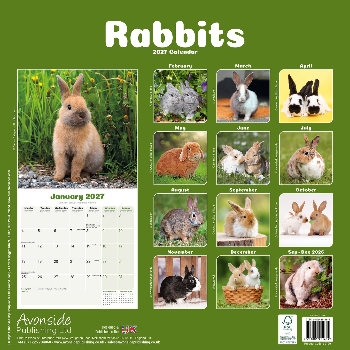 Rabbits Wall Calendar 2027