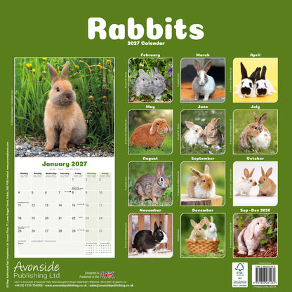 Rabbits Wall Calendar 2027