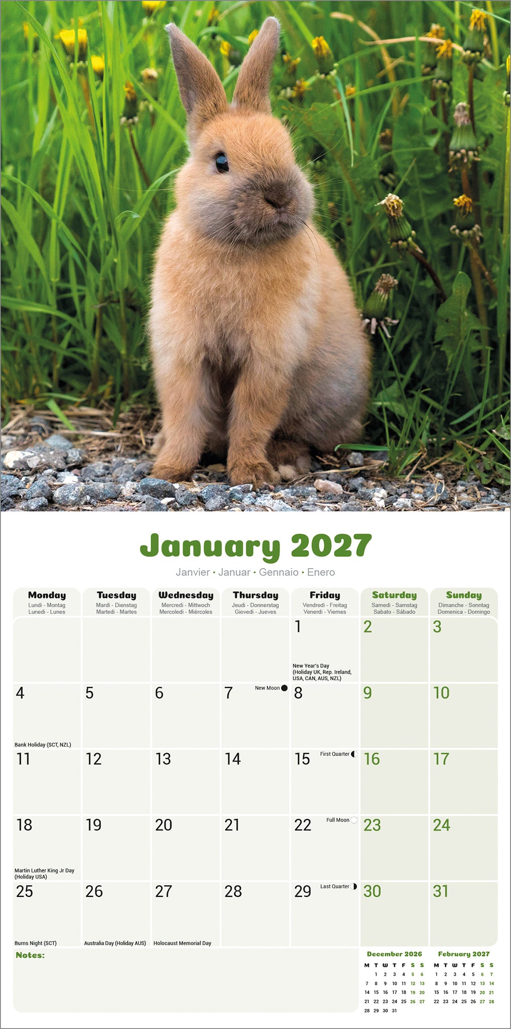 Rabbits Wall Calendar 2027