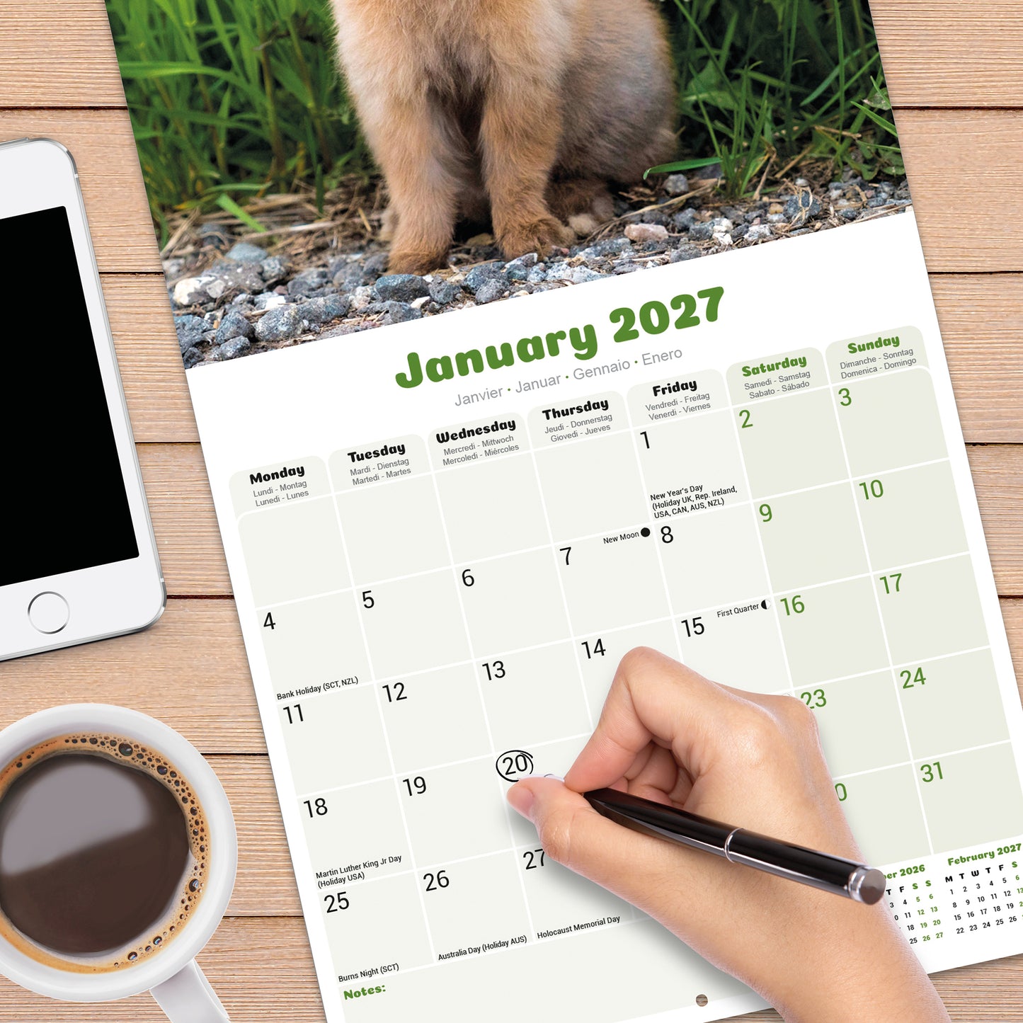 Rabbits Wall Calendar 2027