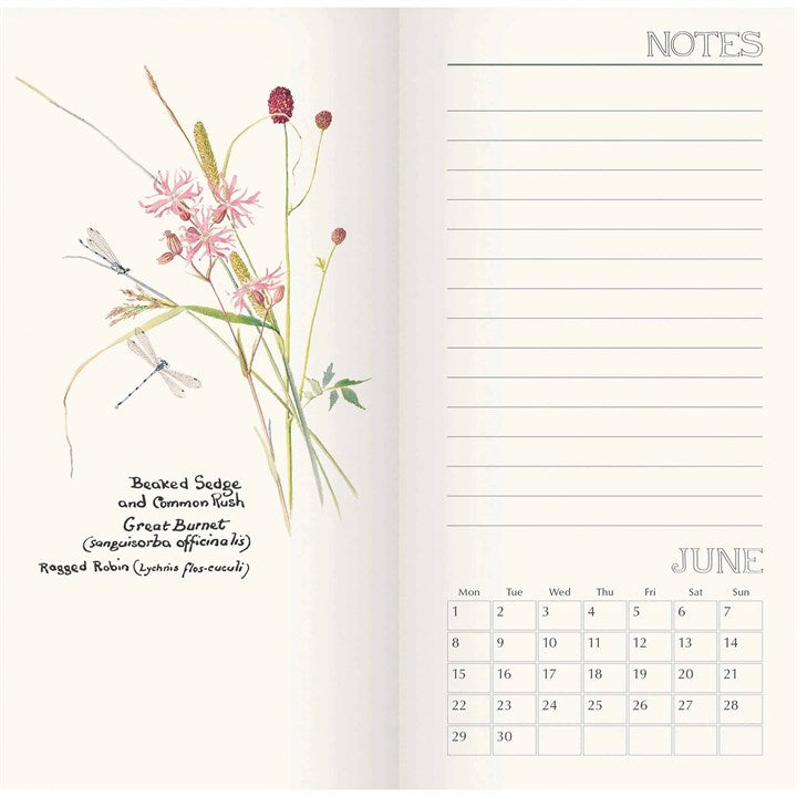 Country Diary, Edith Holden Slim Dlx Diary 2026