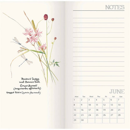 Country Diary, Edith Holden Slim Dlx Diary 2026