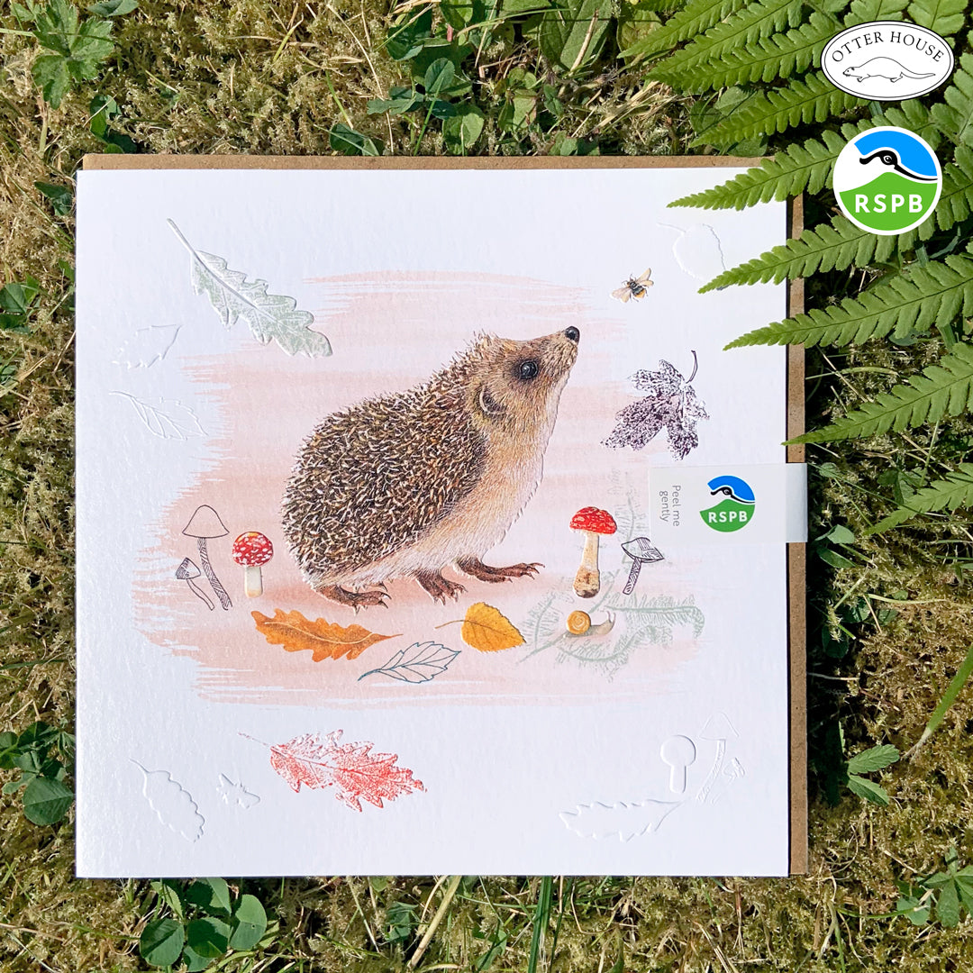 Rspb Graphics RSPB Collection – Otter House