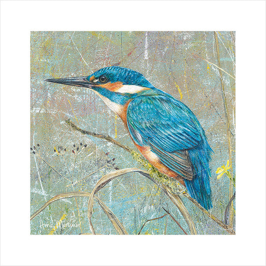Enchanted Wildlife Card - Kingfisher