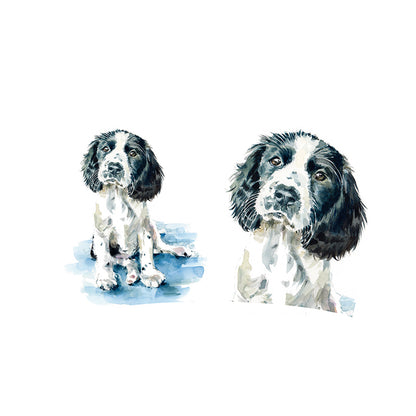 The Riverbank Mug - Springer Spaniel