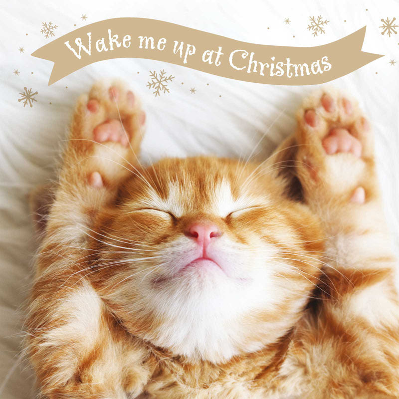 Charity Christmas Card Pack - Wake Me Up