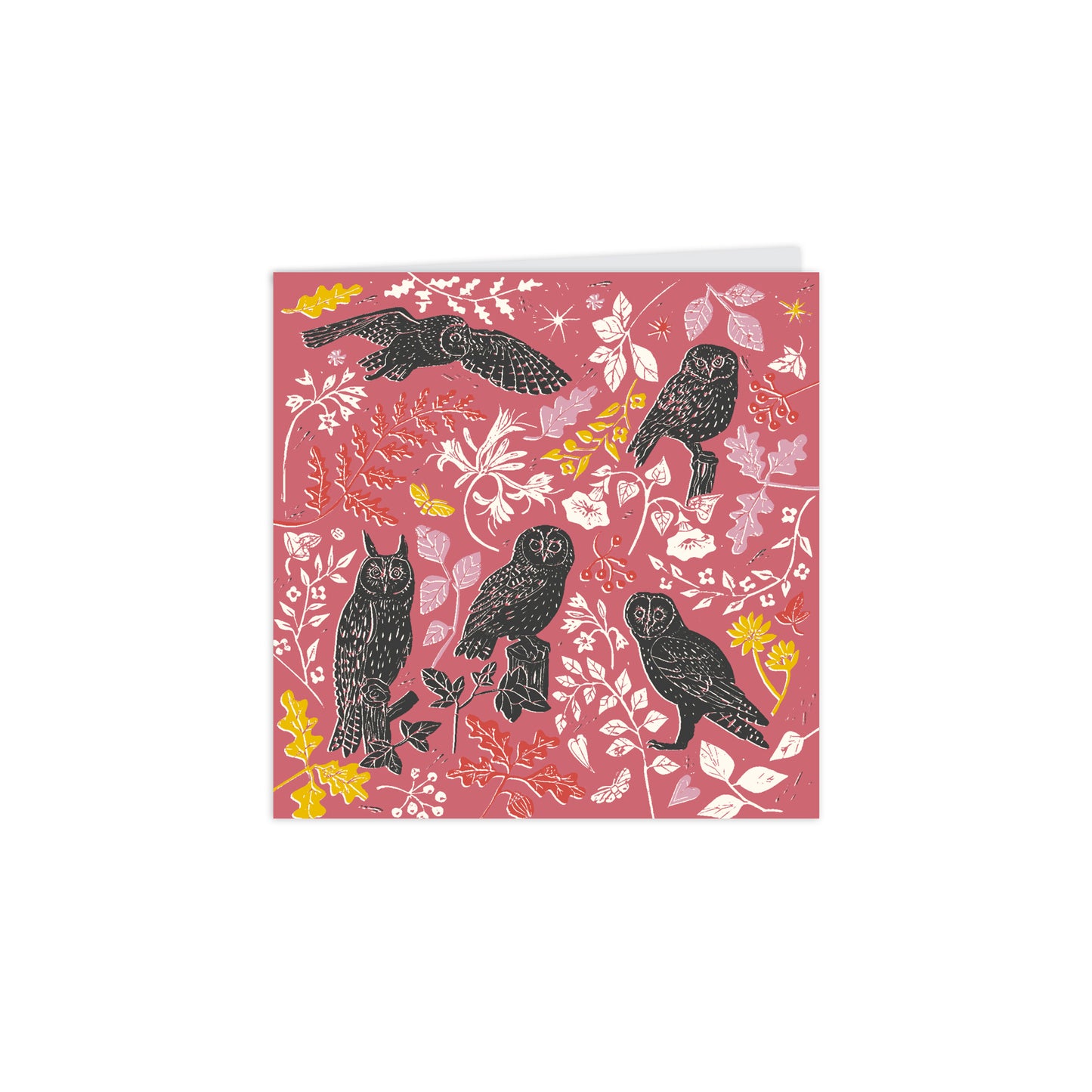 RSPB Natures Print - Notecard Pack (10 Cards) - Wildlife Patterns