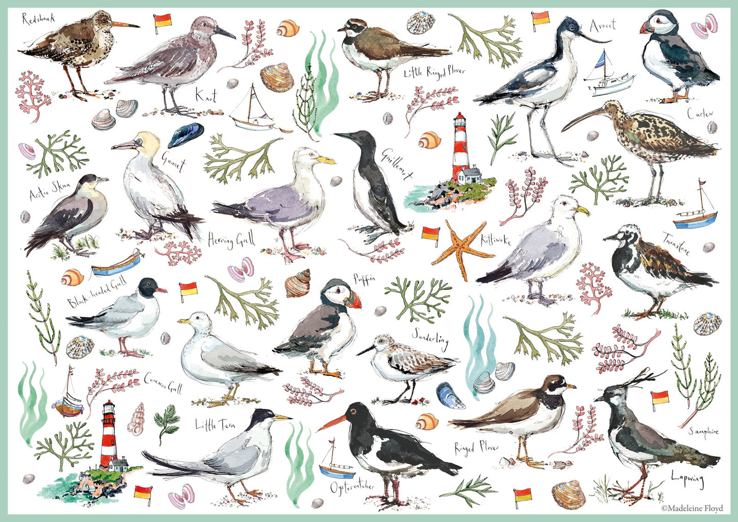 Madeleine Floyd Seabirds - 500 Piece Jigsaw Puzzle