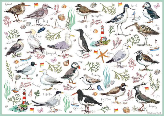 Madeleine Floyd Seabirds - 500 Piece Jigsaw Puzzle