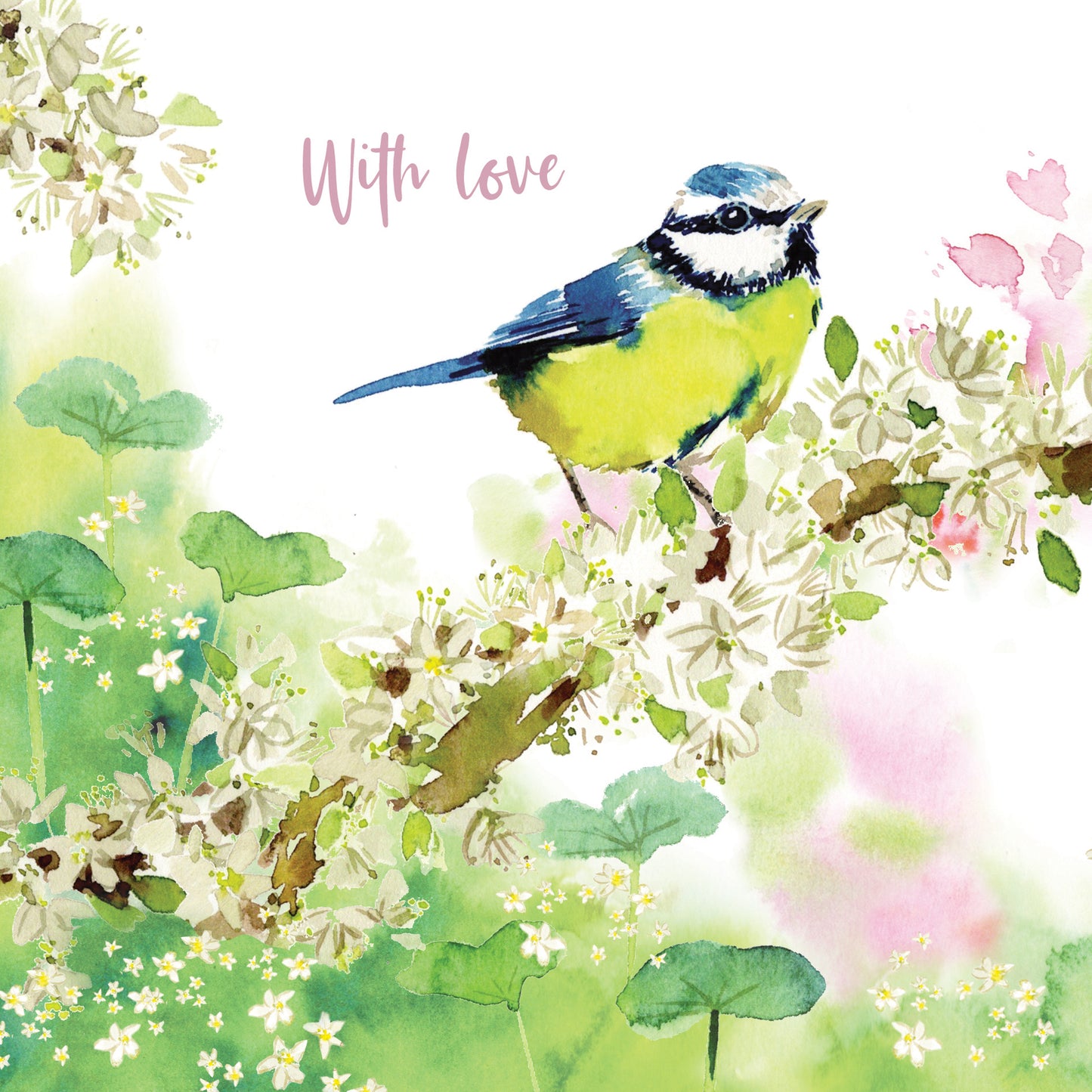 Wild & Serene Card Collection - Blue Tit