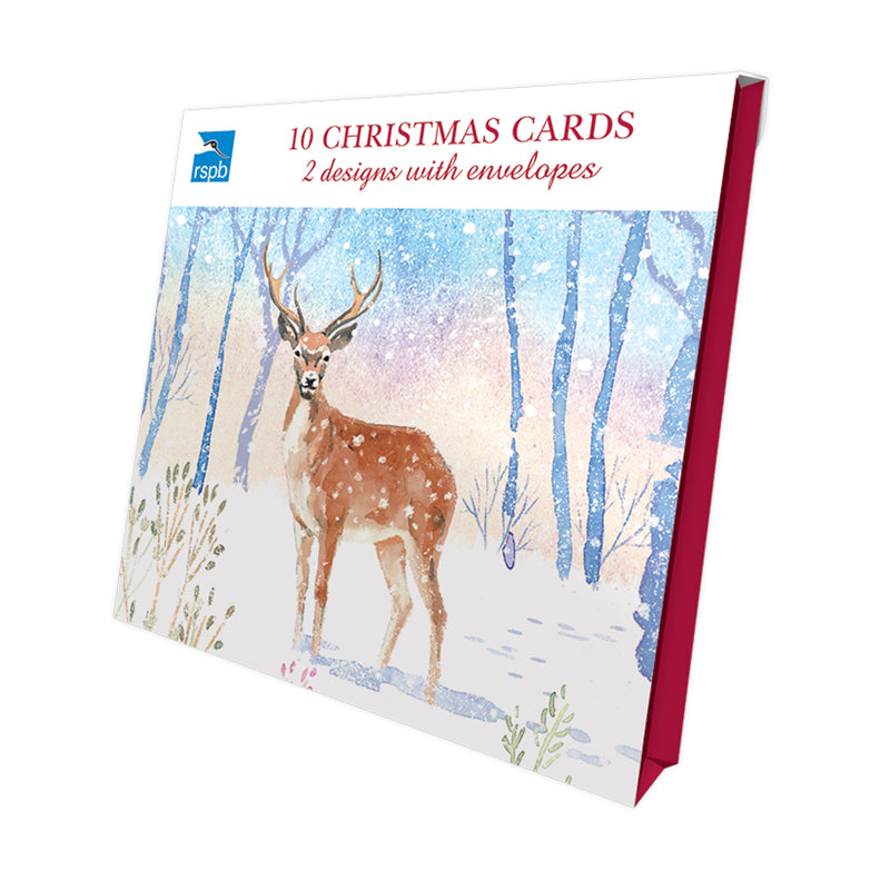 Snowy Scene - RSPB Luxury Christmas 10 Card Pack