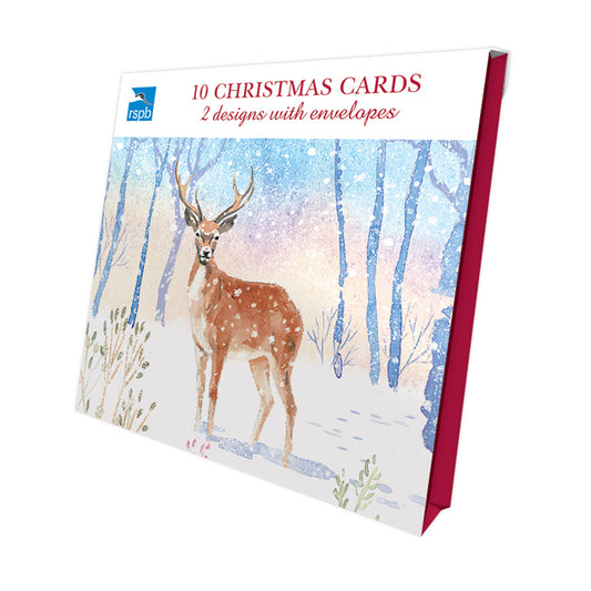 Snowy Scene - RSPB Luxury Christmas 10 Card Pack