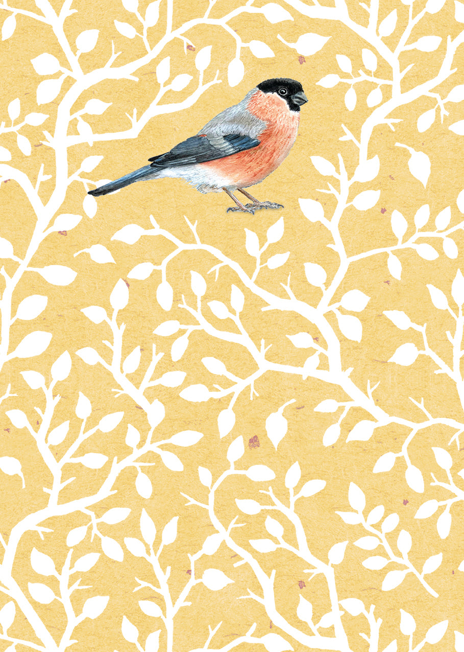 RSPB - In The Wild Stationery - (6 Cards) Small Notecards - Bullfinch