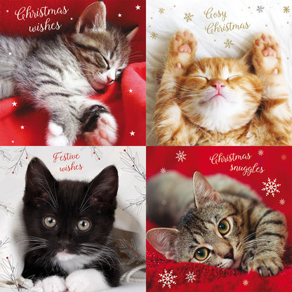 Assorted Christmas Cards - Cosy Kittens