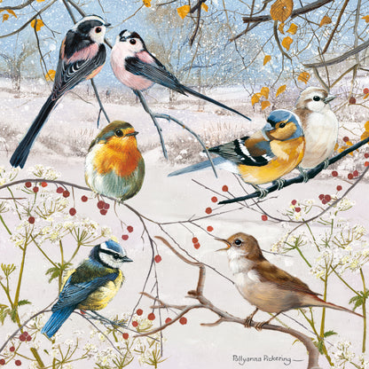 Assorted Christmas Cards - Winter Birds & Berries