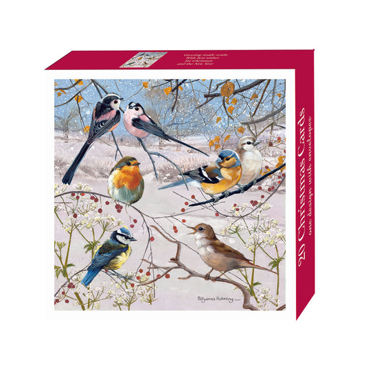 Assorted Christmas Cards - Winter Birds & Berries
