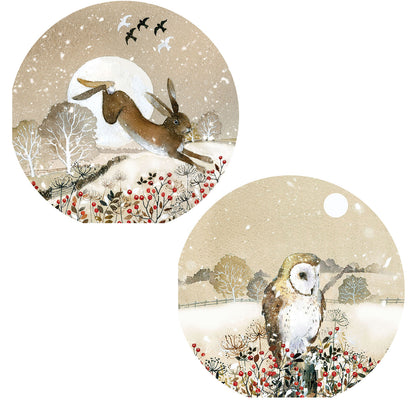 Moonlit Winter - RSPB Luxury Christmas 10 Card Pack