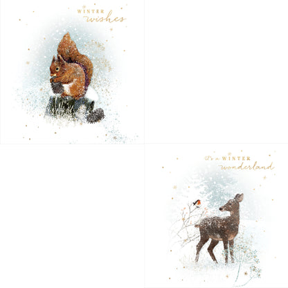 Winter Wonder - RSPB Luxury Christmas 10 Card Pack