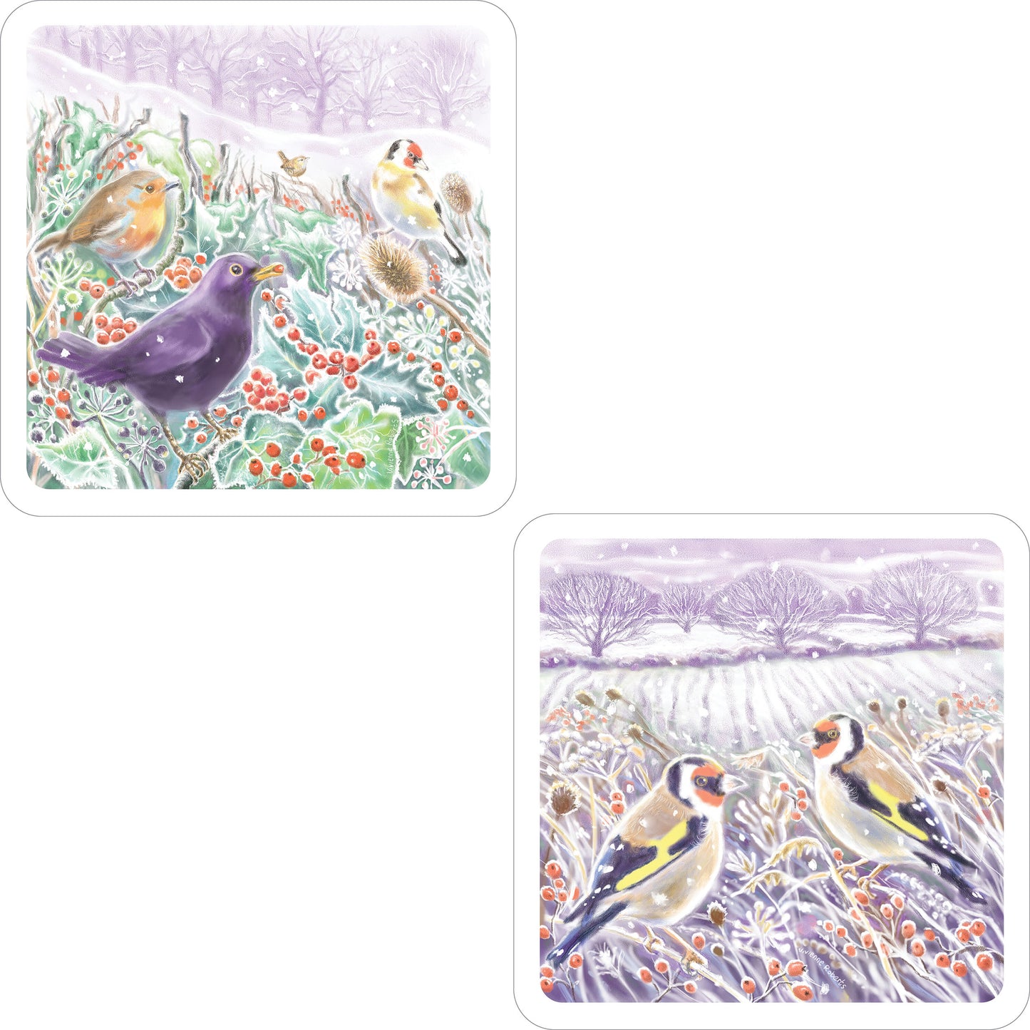 Winter Hedgerows - RSPB Luxury Christmas 10 Card Pack