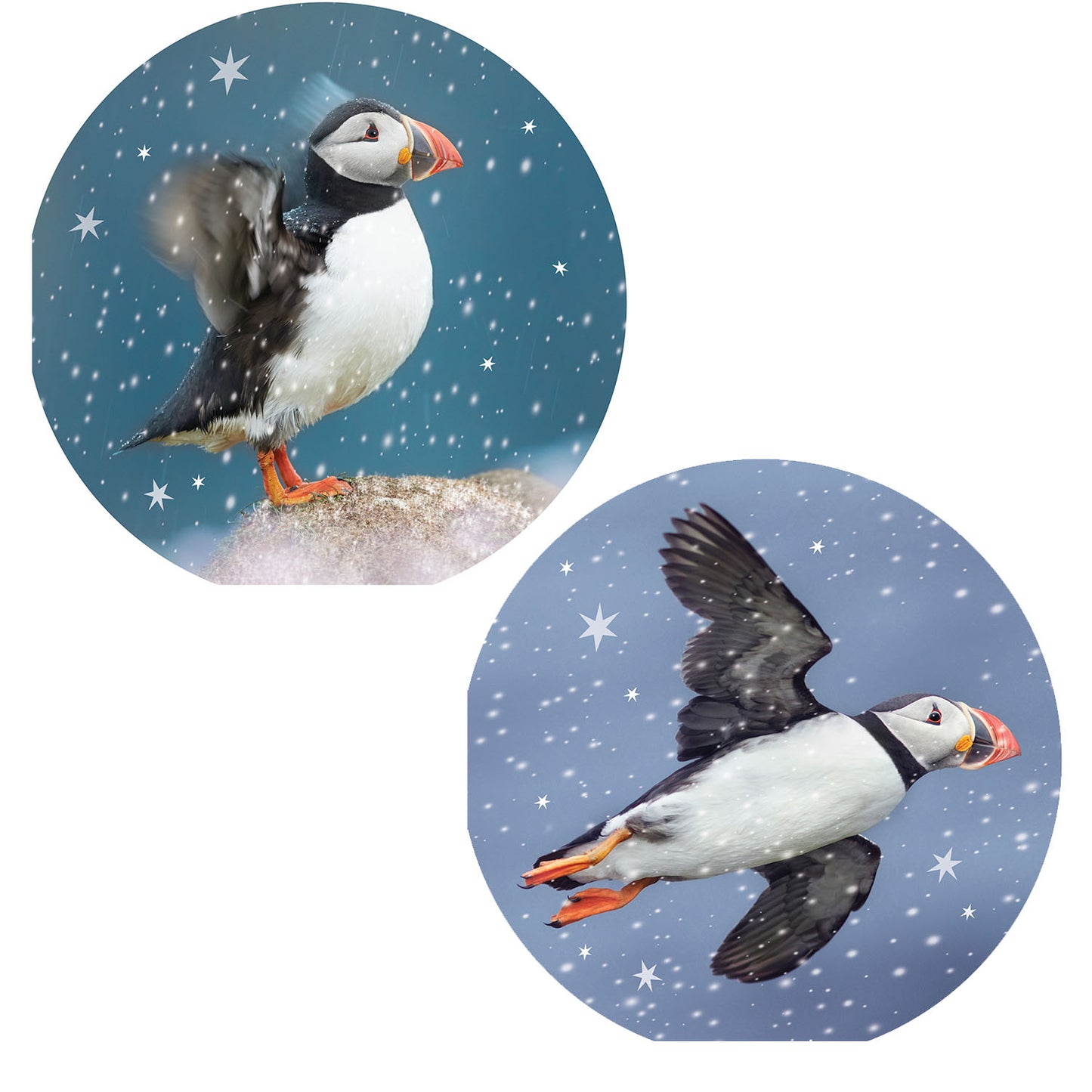 Puffin & Snowflakes - RSPB Luxury Christmas 10 Card Pack