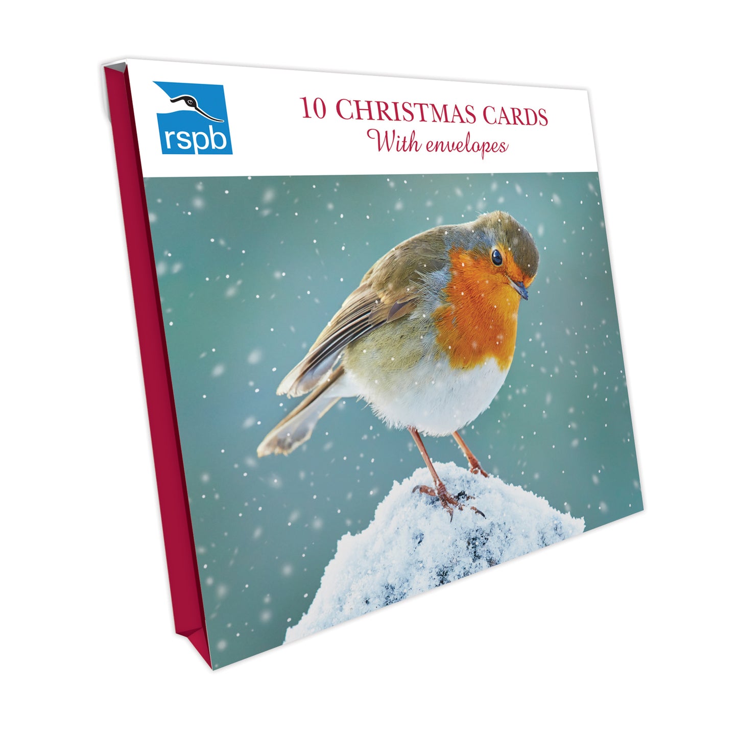 Robin Watching - RSPB Small Square Christmas 10 Card Pack