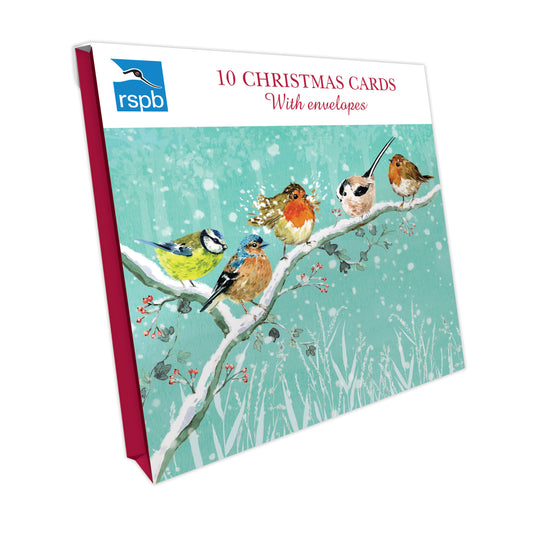 Festive Gathering - RSPB Small Square Christmas 10 Card Pack