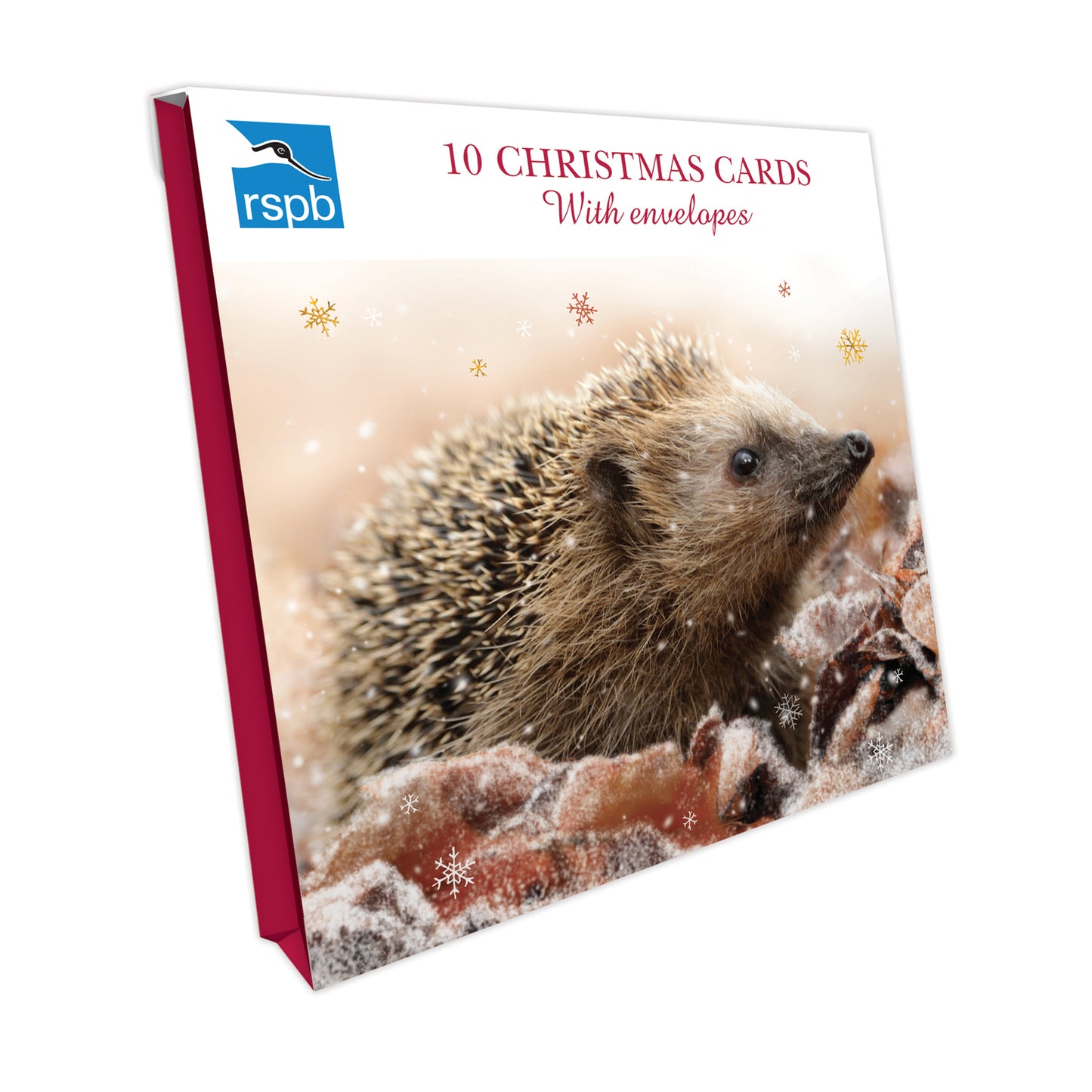 Hedgehog & Snowflakes - RSPB Small Square Christmas 10 Card Pack