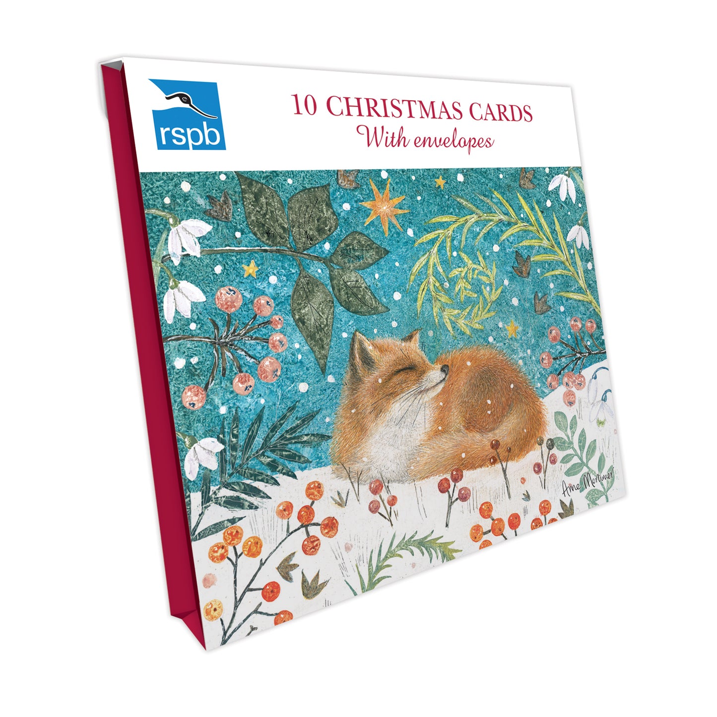 Festive Fox - RSPB Small Square Christmas 10 Card Pack