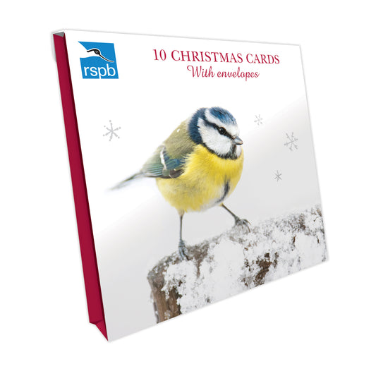 Seasons Greetings - RSPB Small Square Christmas 10 Card Pack