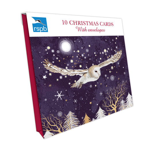 Owl & Forest - RSPB Small Square Christmas 10 Card Pack