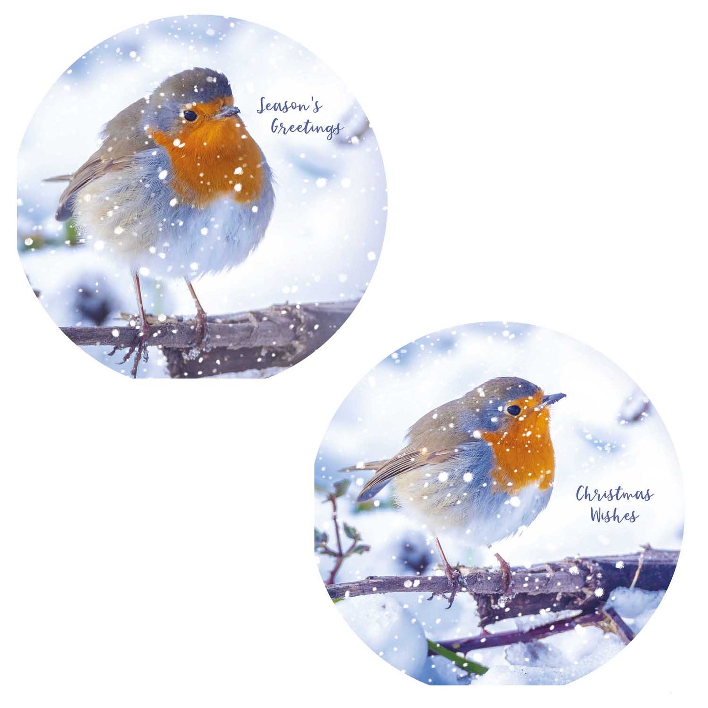 Luxury Christmas Card Pack - Snowfall Robins