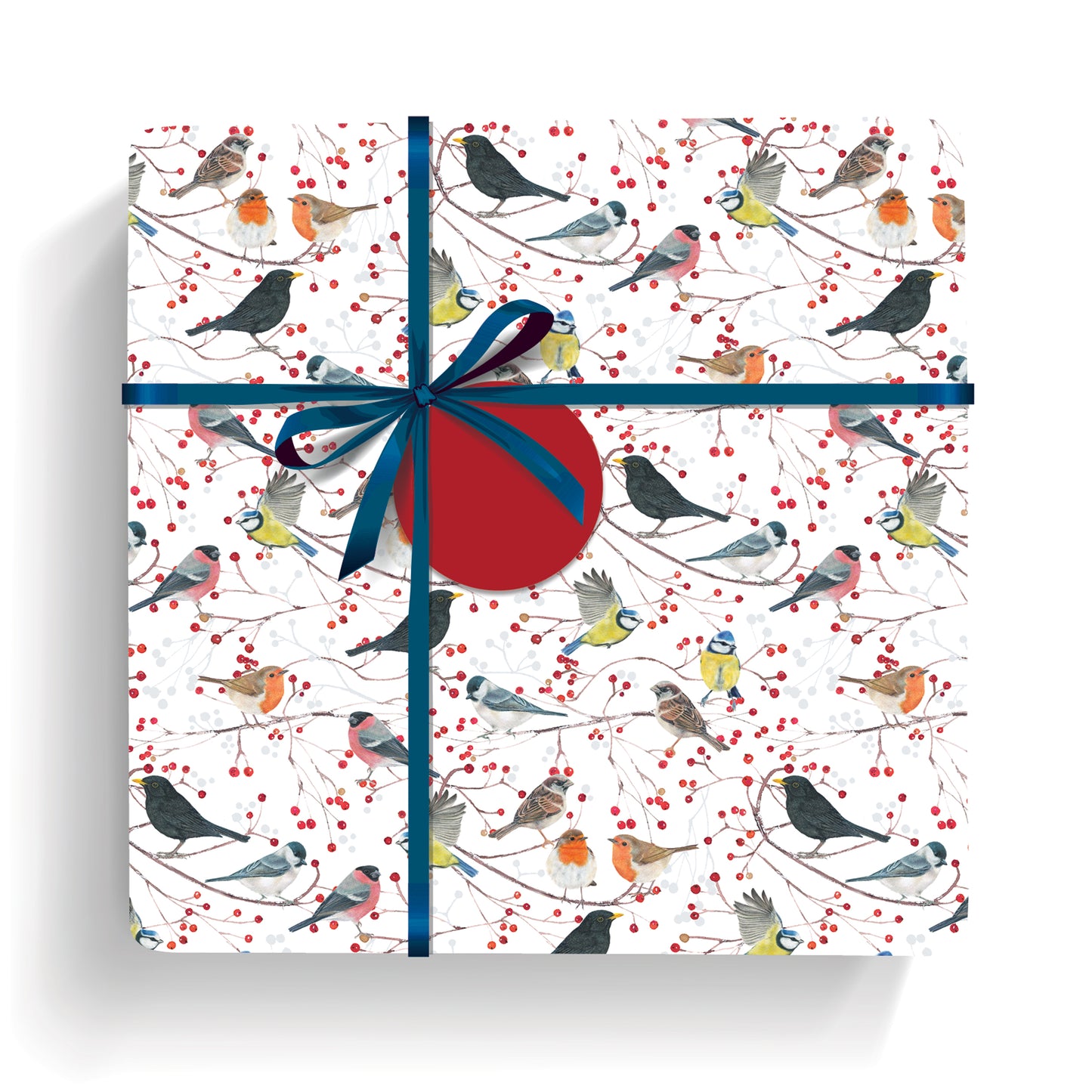 Christmas Wrap & Tags - Birds & Branches (5 Sheets & 5 Tags)