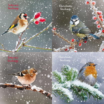 Assorted Christmas Cards - Birds in the Snow