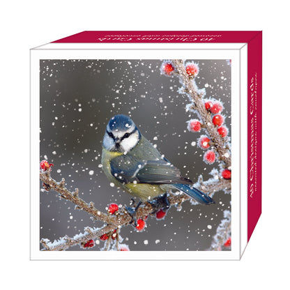 Assorted Christmas Cards - Birds in the Snow