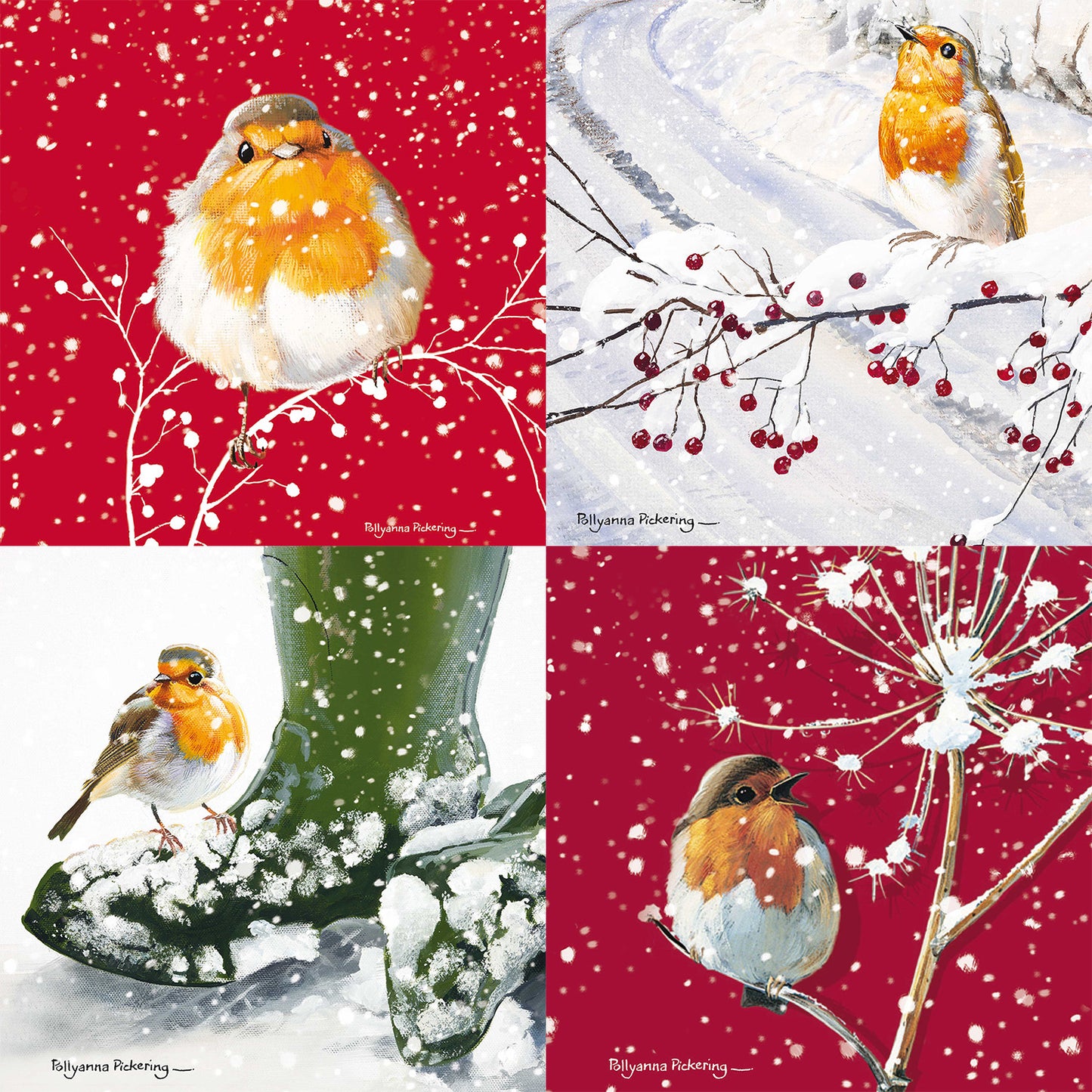 Assorted Christmas Cards - Red Robin