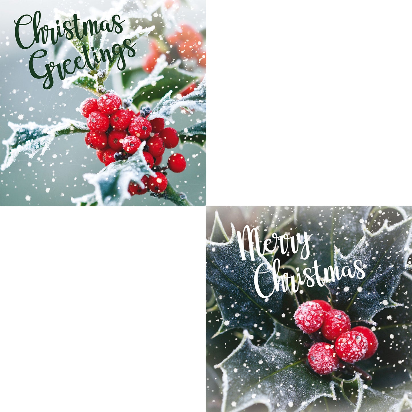 Assorted Christmas Cards - Holly Greetings