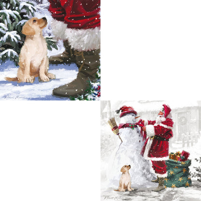 Assorted Christmas Cards - Santa's Friend