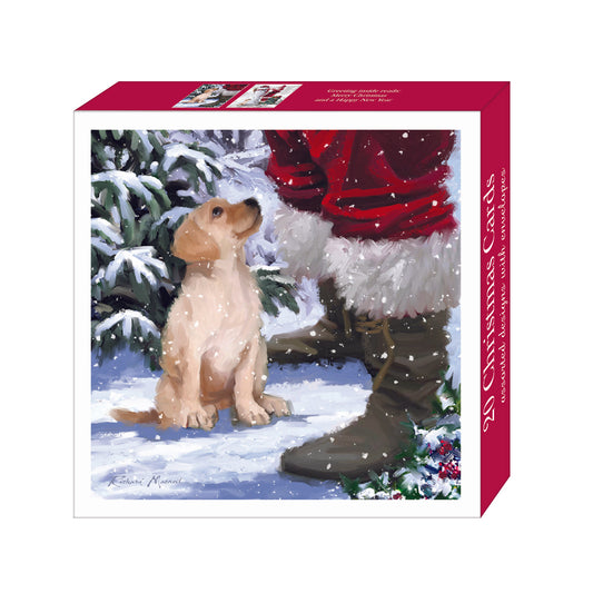 Assorted Christmas Cards - Santa's Friend