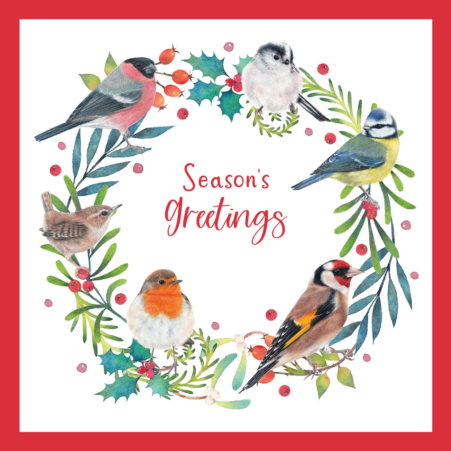 Birds & Foliage - RSPB Luxury Christmas 10 Card Pack