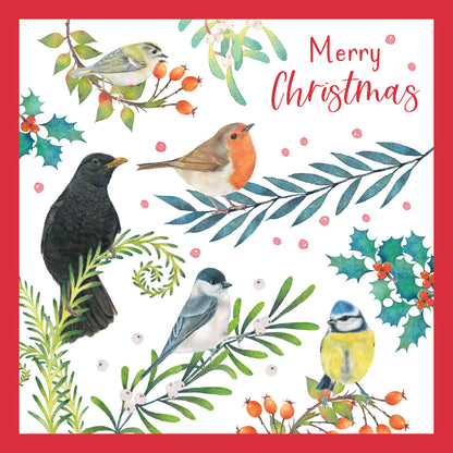 Birds & Foliage - RSPB Luxury Christmas 10 Card Pack