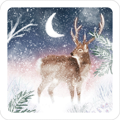Moonlight Friends - RSPB Luxury Christmas 10 Card Pack