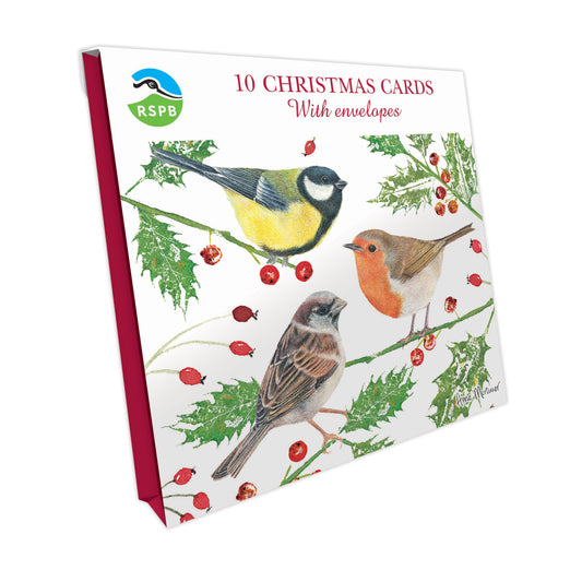 Robin, Great Tit & Sparrow - RSPB Small Square Christmas 10 Card Pack