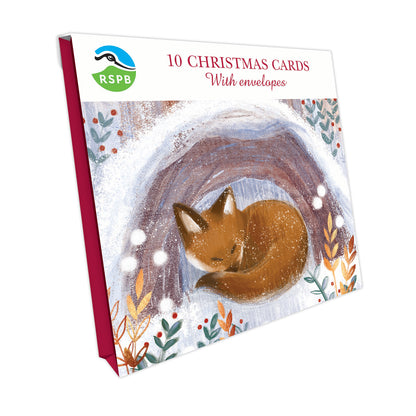 Snuggling Fox - RSPB Small Square Christmas 10 Card Pack