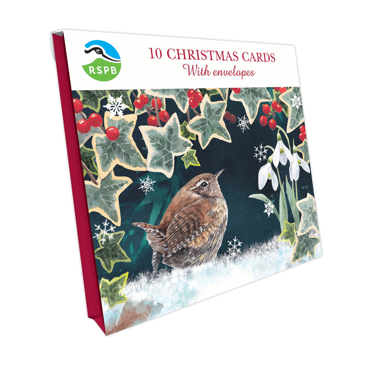 Wren Rspb Wren & Ivy - RSPB Small Square Christmas 10 Card Pack – Otter House