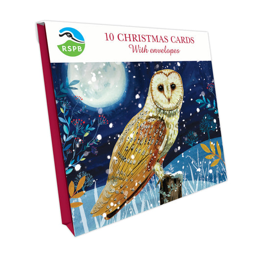 Owl - RSPB Small Square Christmas 10 Card Pack