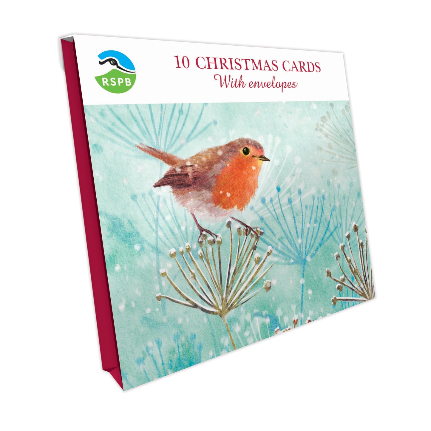 Winter Robin - RSPB Small Square Christmas 10 Card Pack