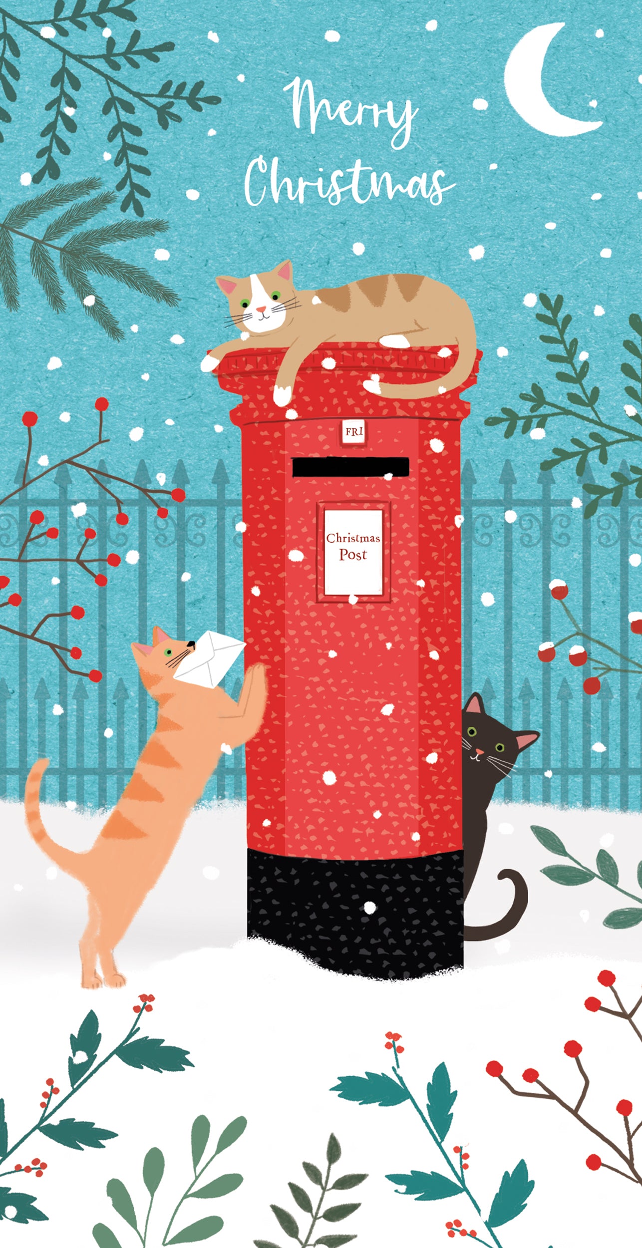 Christmas Card (4 Pack) - Money Wallet - Cat