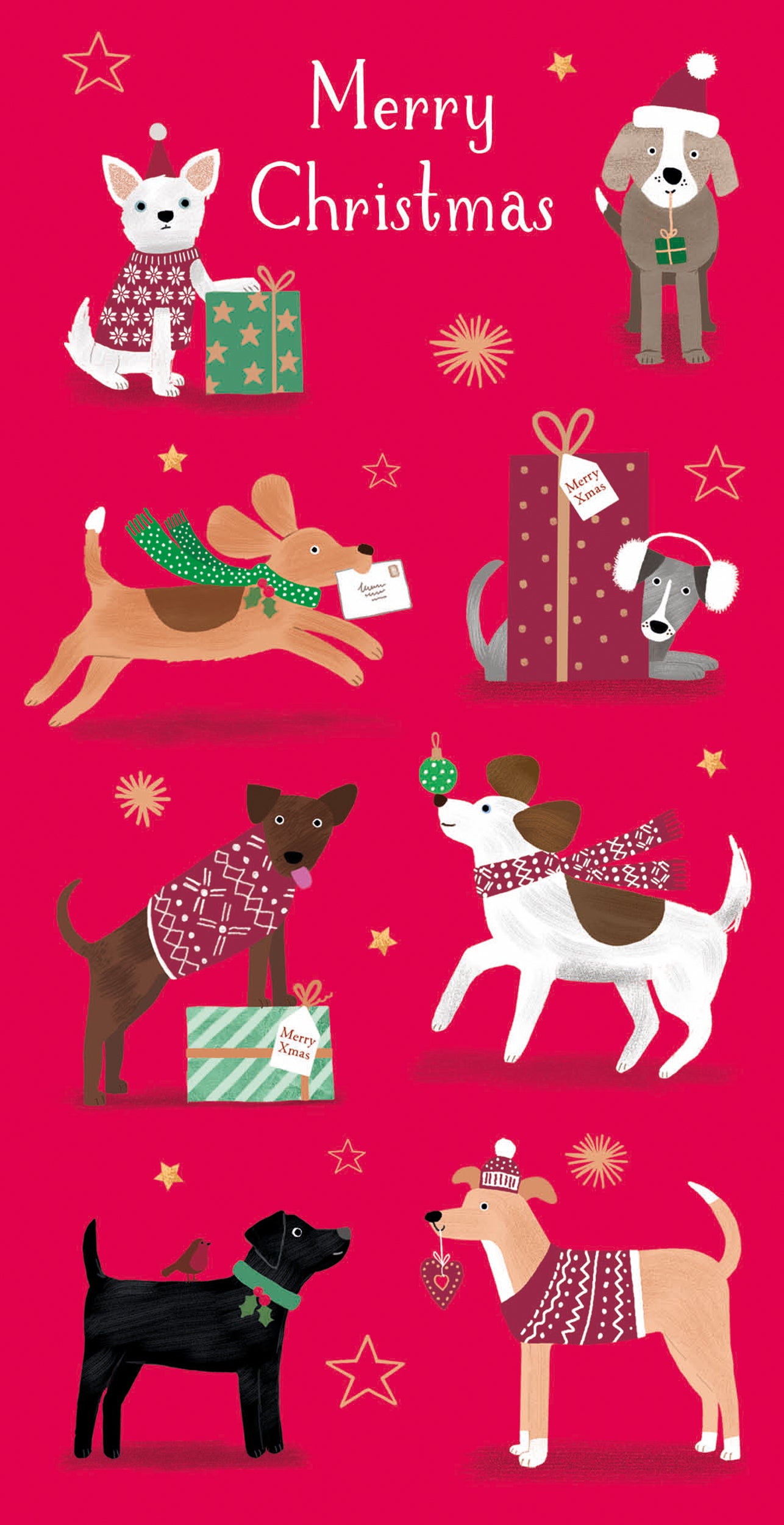 Christmas Card (4 Pack) - Money Wallet - Dog