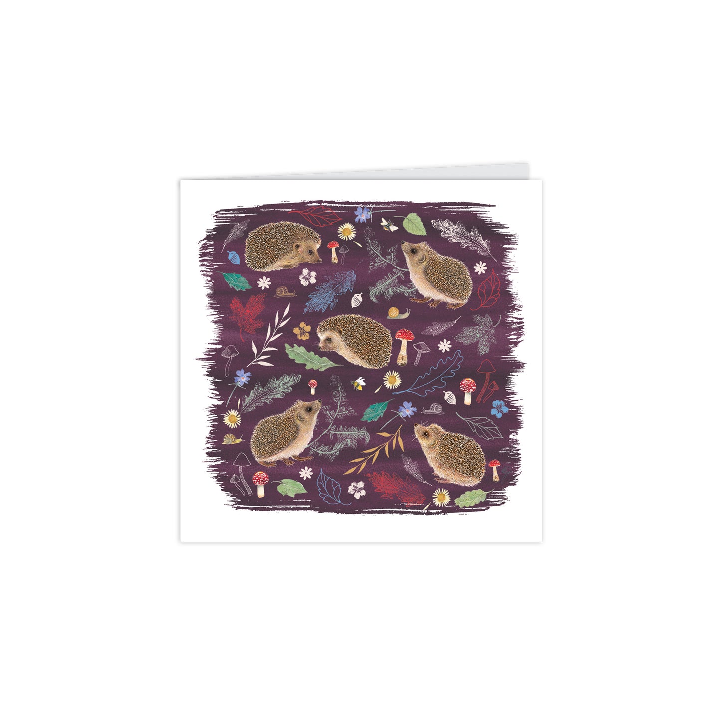 RSPB Beyond The Hedgerow Stationery - (10 Cards) Square Notecard Pack - Hedgehogs Leaves