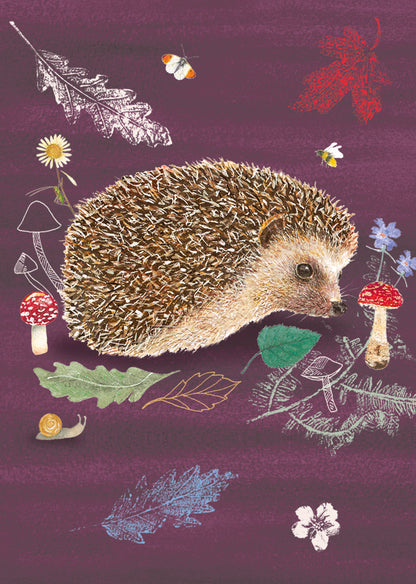 RSPB Beyond The Hedgerow Stationery - (6 Cards) Mini Notecard Pack - Peeping Hedgehog